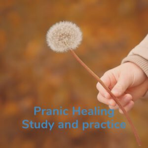 Pranic Healing Practices and studies